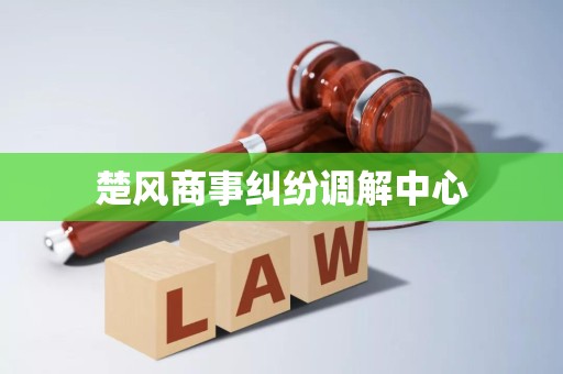 楚風(fēng)商事糾紛調(diào)解中心破產(chǎn)清算服務(wù) 專業(yè)、高效、公正的債務(wù)解決方案