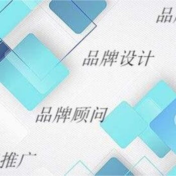打造企業(yè)品牌形象 戰(zhàn)略設(shè)計(jì)與專(zhuān)業(yè)建設(shè)指南